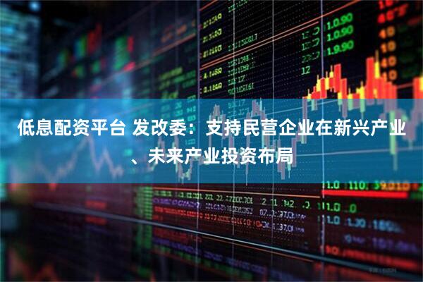 低息配资平台 发改委：支持民营企业在新兴产业、未来产业投资布局